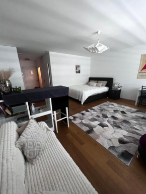 Apartments in Bern - Green Relax